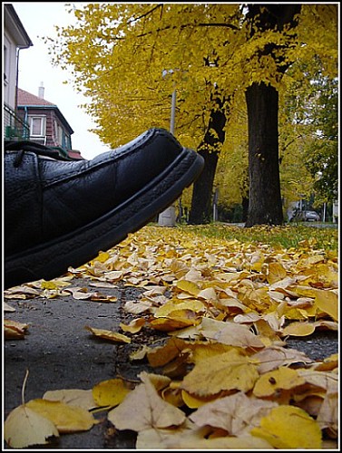 Ještě krok a ...