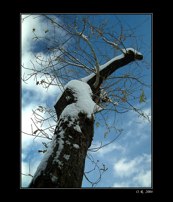 ***Strom***