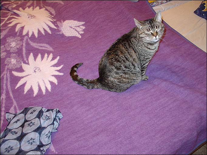 Trudy na fialové dece s bílými květy