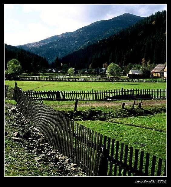 Ve stínu velikánů