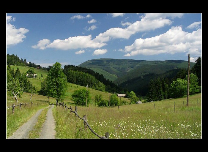 Z cesty na Lysou horu I.