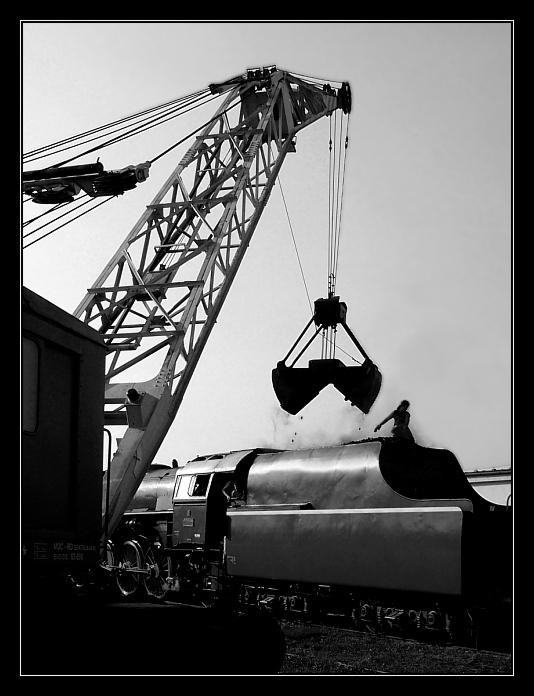 dozbrojovanie albatrosa