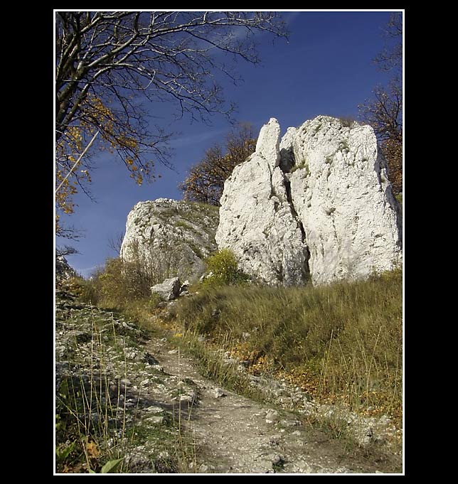 Pálava III.