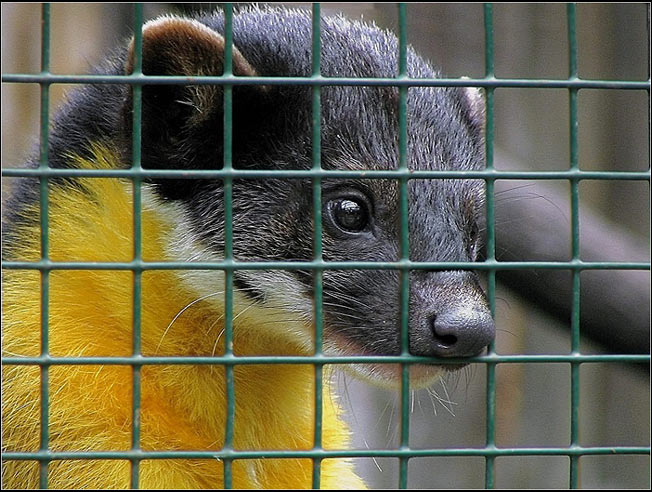 Na té svobodě je ale krásně.