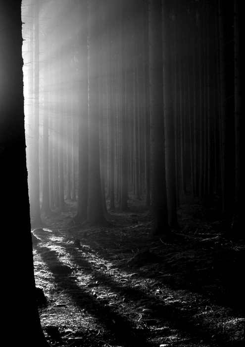 Zpoza