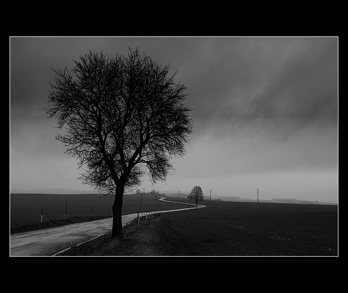 <strong>:. ordinary world .:</strong>