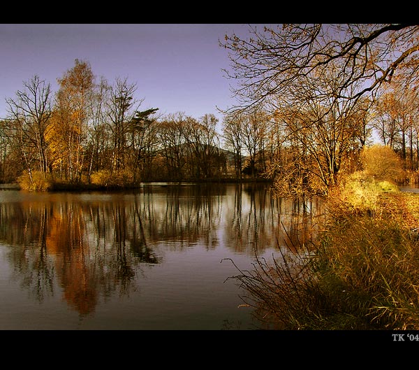 rybník