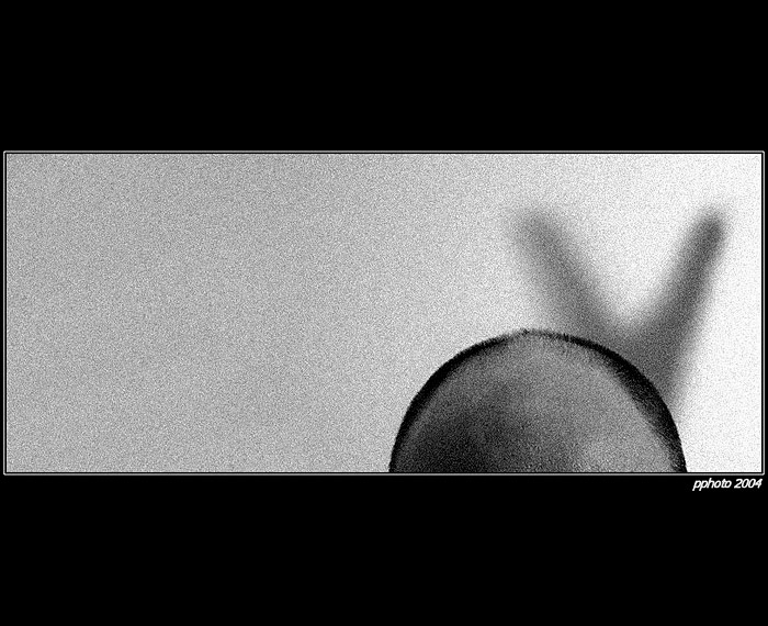 Spiritual playboy aneb Vítězství ducha nad (d)uchem