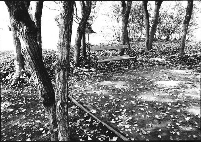 Lavička