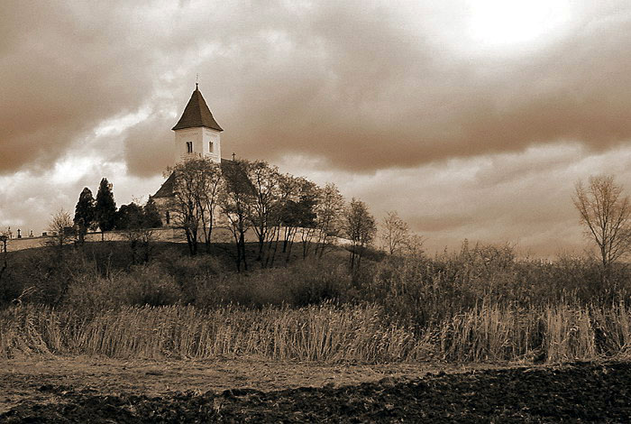 Krteň