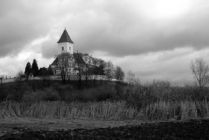 Krteň