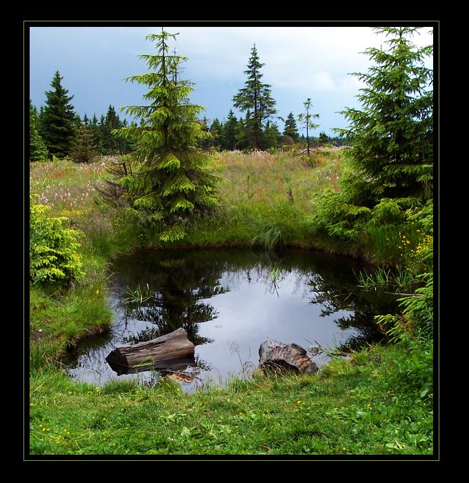 Krkonoše IV.