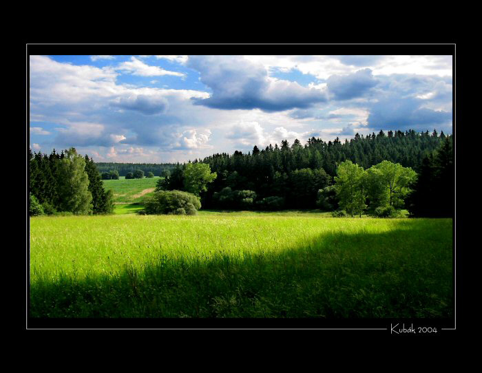 Babiččina louka