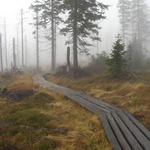 Krkonoše - Svinský kaluže