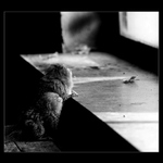 ... SVO-BO-DA !!!???!!! ...