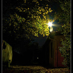 svetlo - listy - stiny