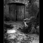 Tichá zákoutí III