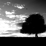 <b>...aj túto si chcem dať na stenu</b>