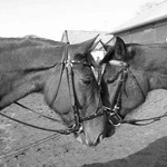 vrátím se brzy, slibuju..