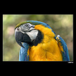 lorra dělá foto :-)