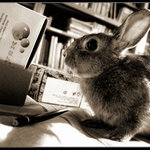 Živej nebo vycpanej?