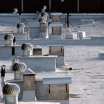 Industriální paseka...<br>... není les jako les