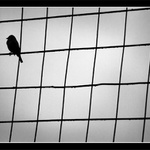 všichni jsou už v mexiku