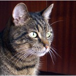 ...konečně zapózoval...a psů se nebojí..:)