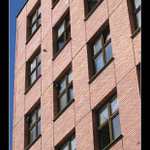 Jedna vlaštovka podzim nedělá..