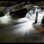 Bílá jako šlehačka...