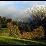 Zima kontra podzim - variace