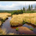 Rovnostranný trojúhelník