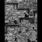 Vzdělání je dřina !