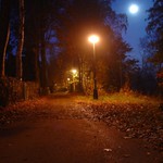 Ráno v jedné uličce.