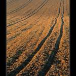 .:::Podzimní Diagonála:::.