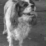 Jééé, masíčko!!!!