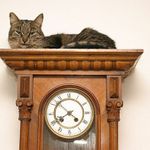 Když si mě nepustil do postele...