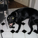 to je naše ťapinka