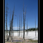 <B><U>STROMY</U></B>