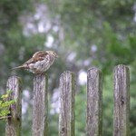 Mam to pod kontrolou..