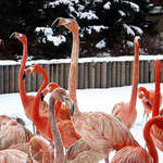 ...a není vám zima?