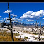 Yellowstonský národní park