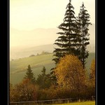 <b><u>*****Háj*****</b></u> </a></span><br>