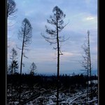 <b><u>*****Tatry po smršti*****</b></u> </a></span><br>