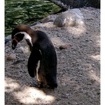 Hm,tak já zase půjdu