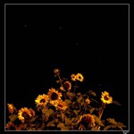 dívej, tam je velký vůz