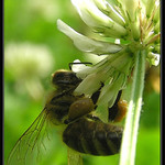 ...jeste trosku a letim