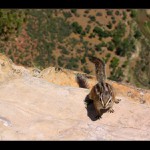 <B>Rychlá roto ... batohy, útokem, vpřed !!!</B>