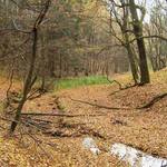 Kam lidská noha nevkročila..