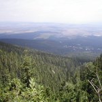 Les který zmizel - Slavkovská dolina